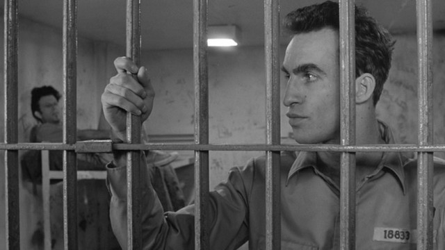 Down By Law Fotoğrafı