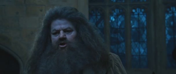 Harry Potter ve Ateş Kadehi Fotoğrafı