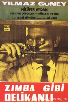 Zımba Gibi Delikanlı (1964) afişi