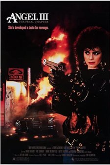 Angel III: The Final Chapter (1988) afişi