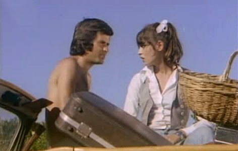 Ateş Böceği Fotoğrafı