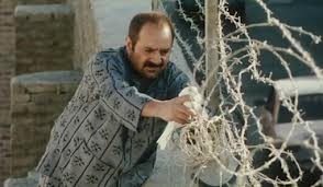 Kertenkele Fotoğrafı