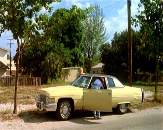 Kanlı Para (II) Fotoğrafı