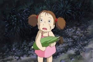 Komşum Totoro Fotoğrafı