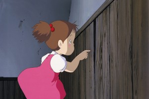 Komşum Totoro Fotoğrafı