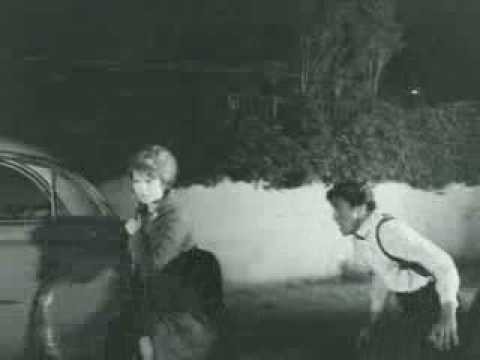 Yakut Gözlü Kedi fotoğrafı