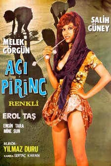 Acı Pirinç (1971) afişi