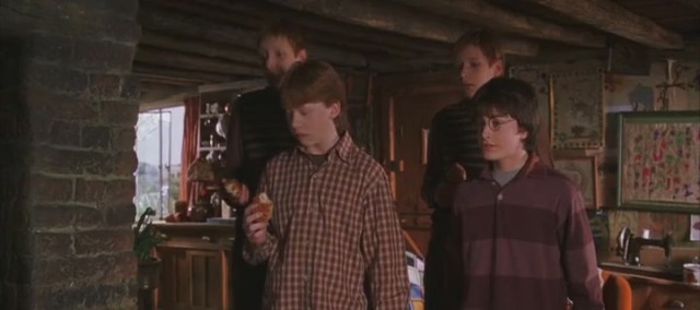 Harry Potter ve Sırlar Odası Fotoğrafı