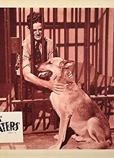 Wild Waters (1935) afişi