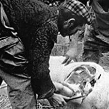 Le Cochon (1970) afişi