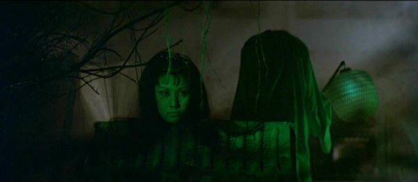 Bat Without Wings fotoğrafı