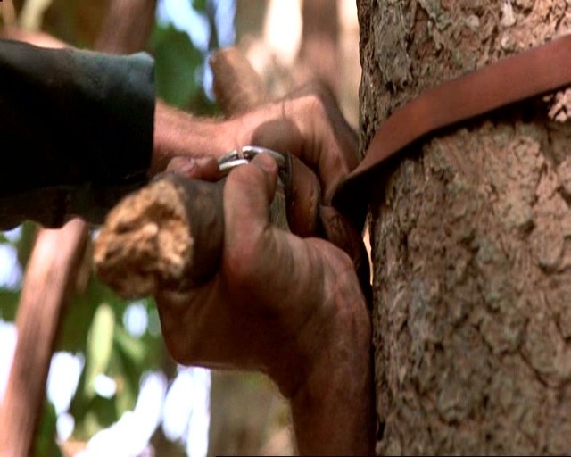 13. Cuma: Yeni Bir Başlangıç Fotoğrafı