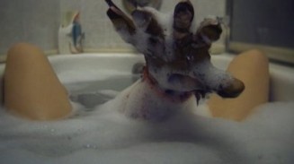 Elm Sokağında Kabus Fotoğrafı