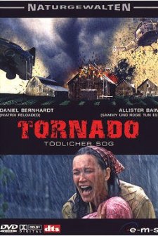 Kasırga (ııı) (2004) afişi