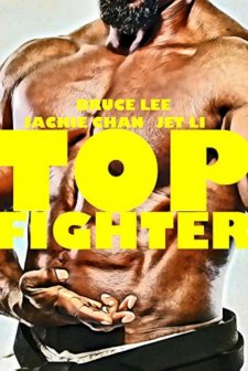 Top Fighter (1995) afişi