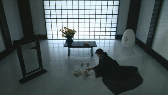 Magic Cop Fotoğrafı