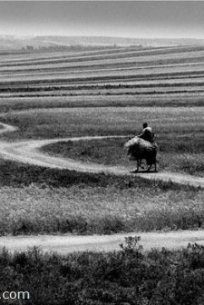 Roads Of Kiarostami (2006) afişi