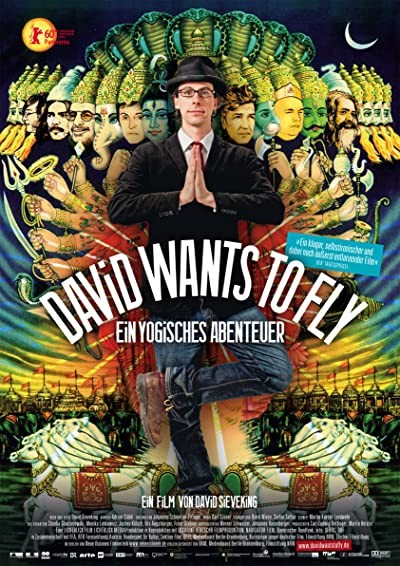 David Wants To Fly (2010) afişi