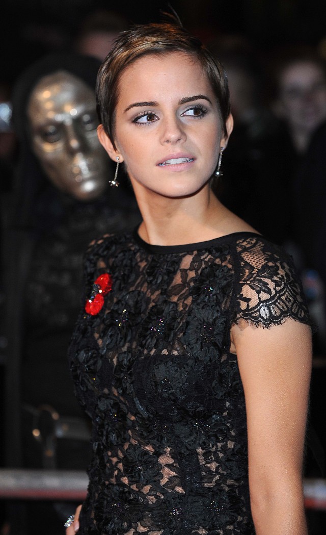 Harry Potter ve Ölüm Yadigarları: Bölüm 2 Fotoğrafı