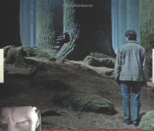 Harry Potter ve Ölüm Yadigarları: Bölüm 2 Fotoğrafı