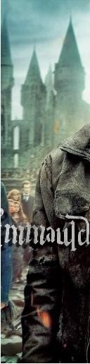 Harry Potter ve Ölüm Yadigarları: Bölüm 2 Fotoğrafı