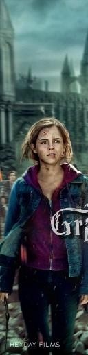 Harry Potter ve Ölüm Yadigarları: Bölüm 2 Fotoğrafı