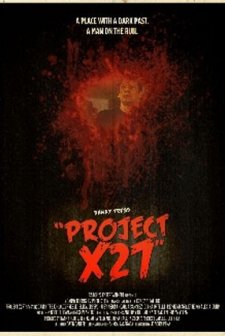 Project x27 (2010) afişi