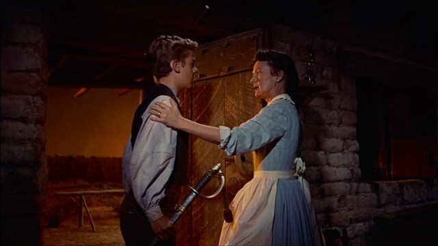 Çöl Aslanı Fotoğrafı