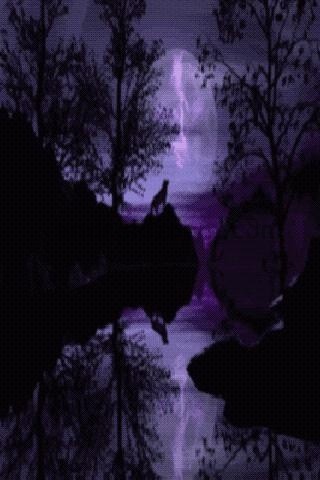 Wolf Lake Fotoğrafı