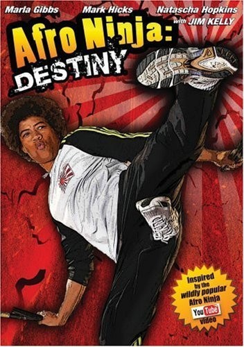Afro Ninja (2009) afişi