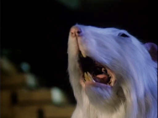 Tanrıların Yiyeceği 2 Fotoğrafı