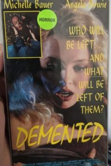 Kaçık (1994) afişi