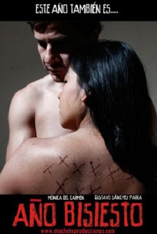 Leap Year (2010) afişi