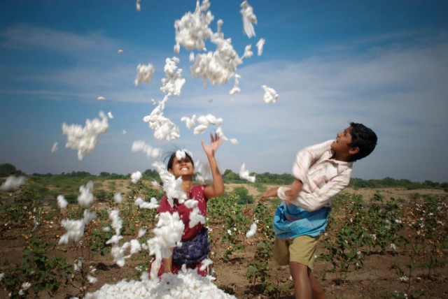 Jhing Chik Jhing Fotoğrafı