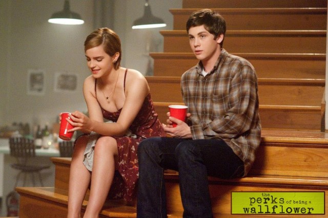 Saksı Olmanın Faydaları Fotoğrafı