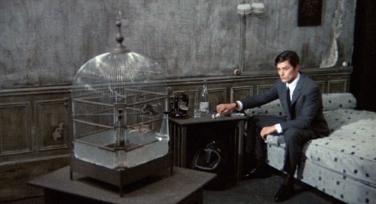 Kiralık Katil Fotoğrafı