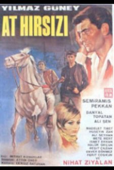 At Hırsızı Banuş (1967) afişi