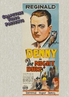 The Night Bird (1928) afişi