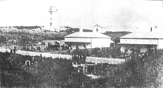 The Wonderful Year Fotoğrafı