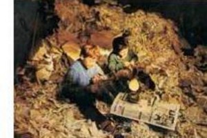 Yusuf İle Kenan Fotoğrafı