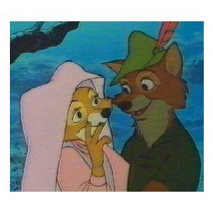 Robin Hood Fotoğrafı