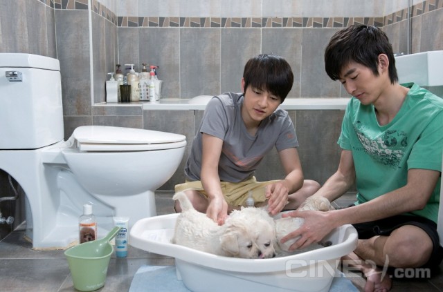 Hearty Paws 2 Fotoğrafı