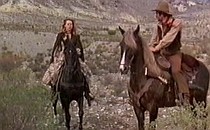 China 9, Liberty 37 Fotoğrafı