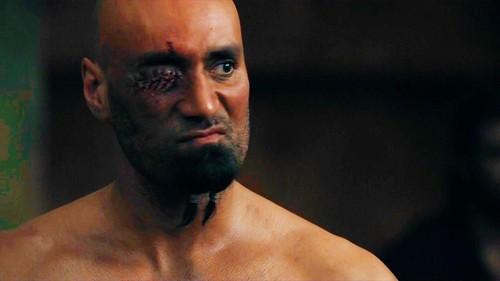 Spartacus: Gods Of The Arena Fotoğrafı