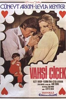 Vahşi Çiçek (1972) afişi