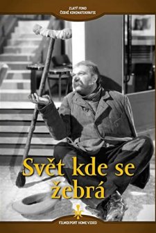 Svet Kde Se Zebrá (1938) afişi