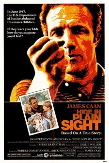 Hide In Plain Sight (1980) afişi