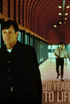 30 Years To Life (1998) afişi