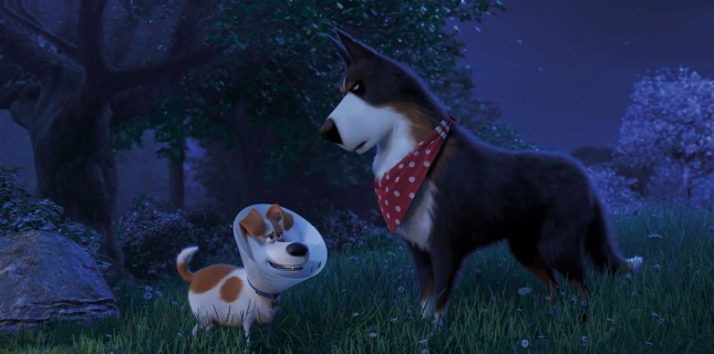 Evcil Hayvanların Gizli Yaşamı 2’den Final Fragmanı Paylaşıldı