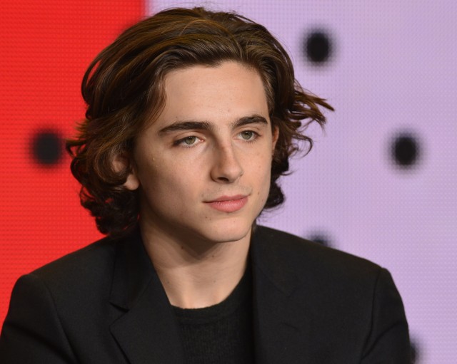 Timothée Chalamet fotoğrafı
